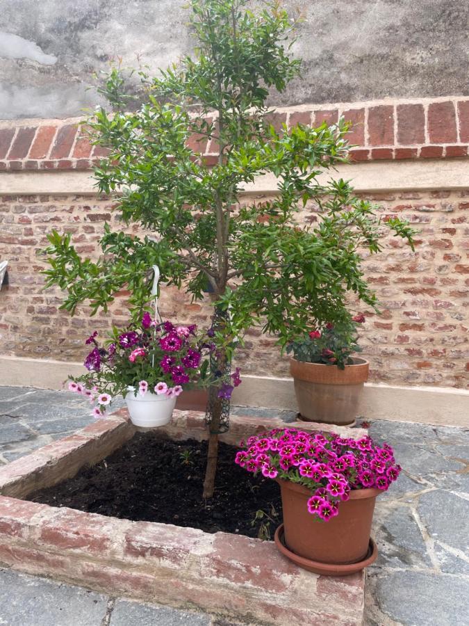 Residenza Nikol Appartamento Giulia Casale Monferrato Eksteriør bilde